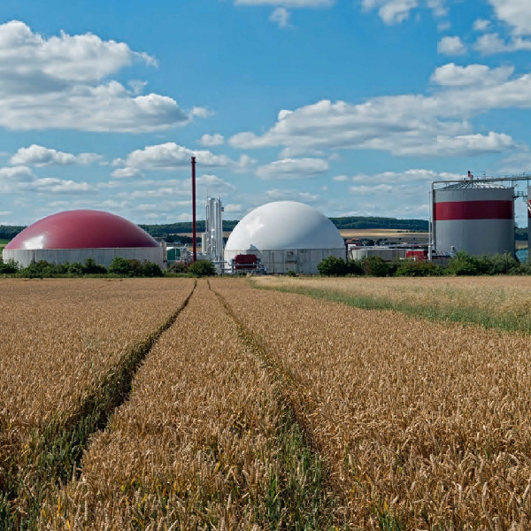 Agriculture